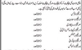 Government Girls Degree College jobs